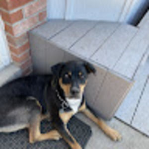 Meet your Posher, Ashlynn